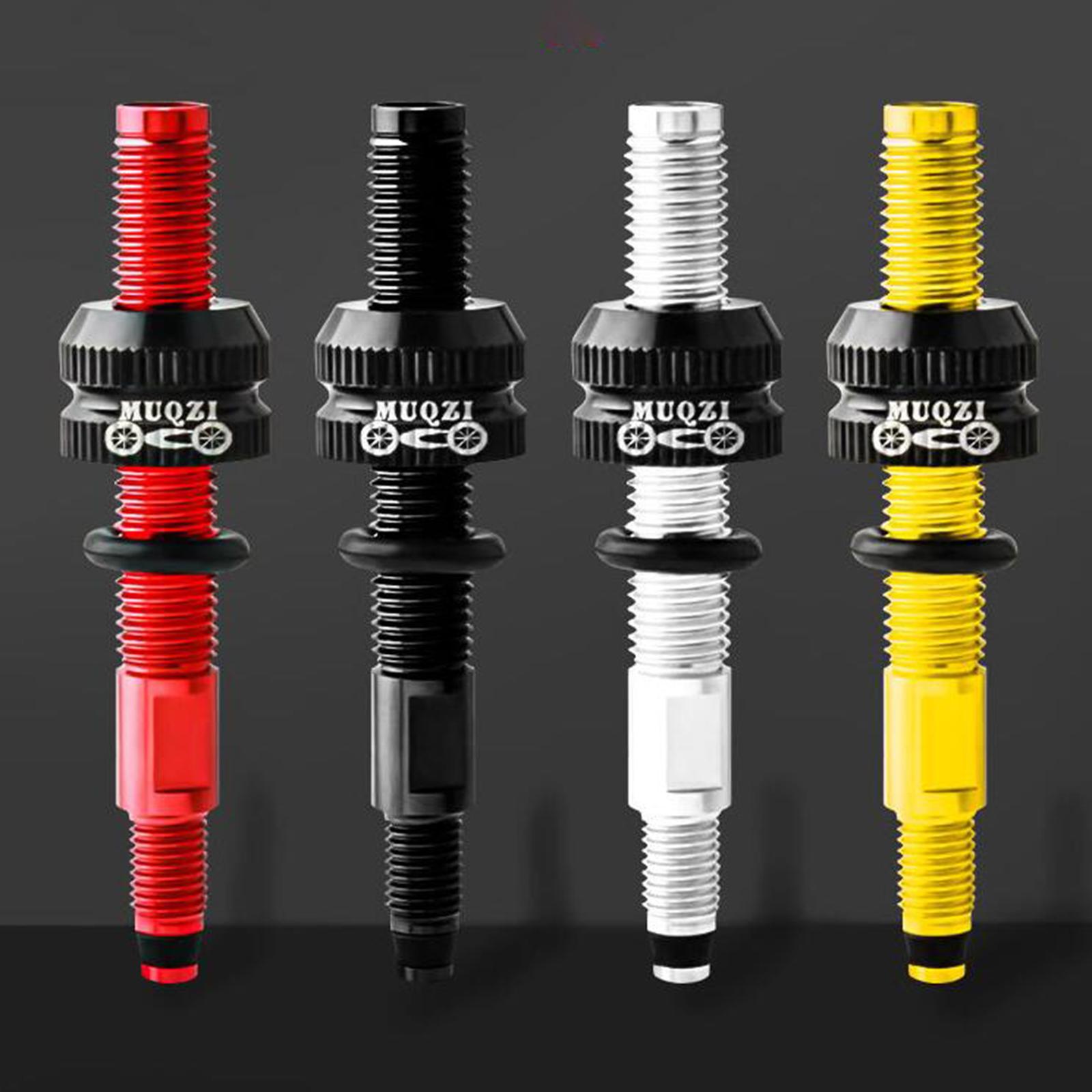 Estensore Valvola Presta per P - Gravel Bike Tires recensione e prezzo